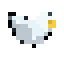Gaivota bicando