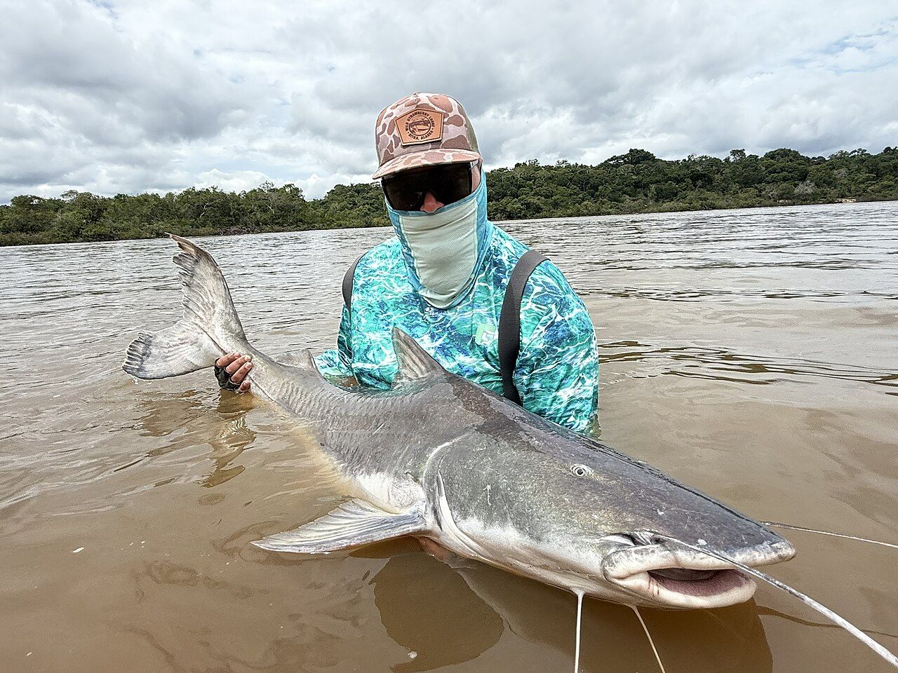 Pescador segurando uma piraíba na beira do rio