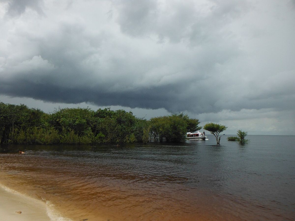 Praia de areia clara com a água escura do Rio Negro e a mata alagada ao fundo